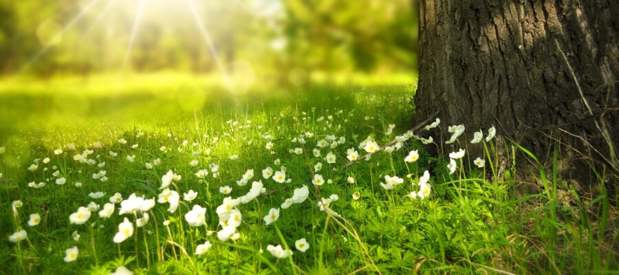 spring health tips for seniors